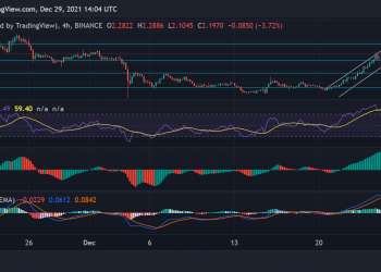 Price Analysis: Fantom and BitTorrent on posting new profits, technical recommendations
