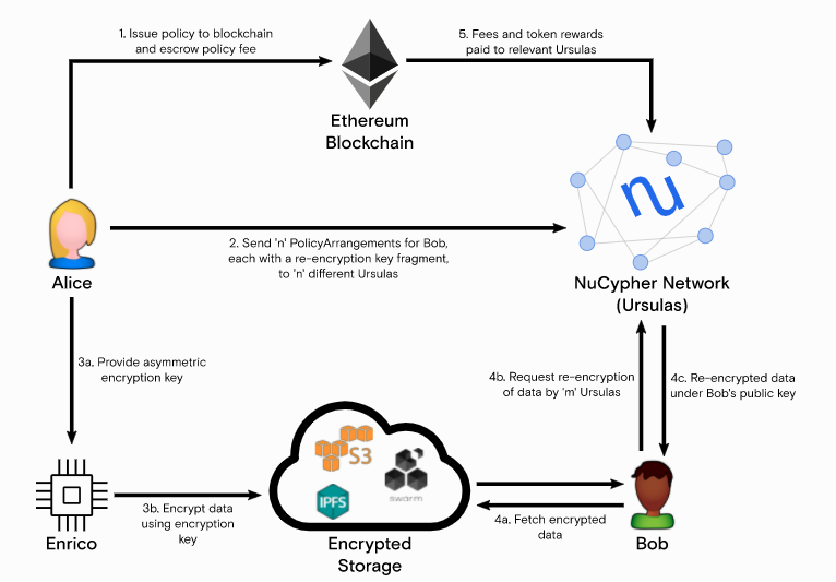 NuCypher.  Operative model