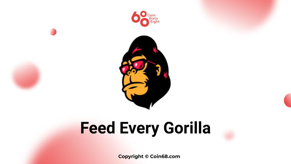 project feeds every gorilla feg