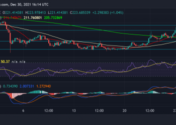 Token price increase, 4% growth target 9
