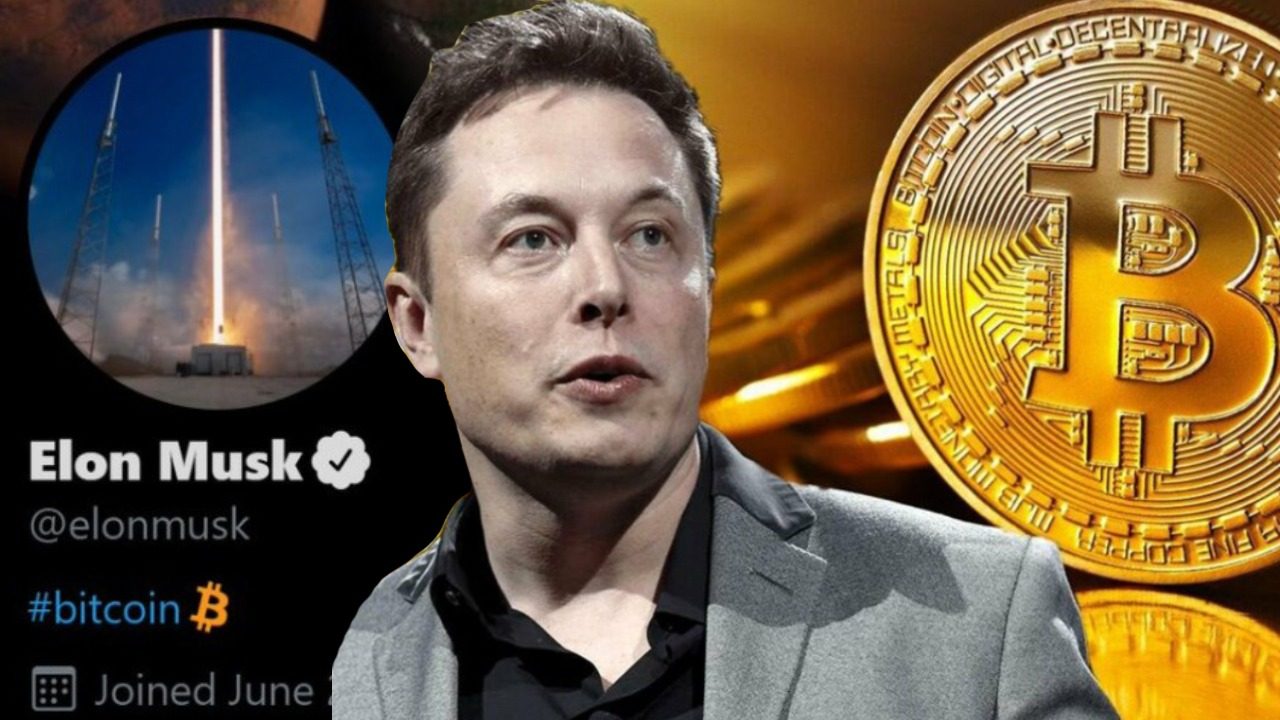 Elon Musk's Twitter bio has now changed to one word: Bitcoin