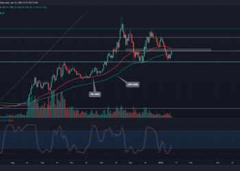 AVAX Coin bounces from 50% retracement;  Right time to buy?  9