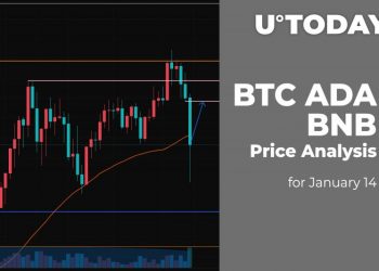 BTC, ADA and BNB Price Analysis for January 14
