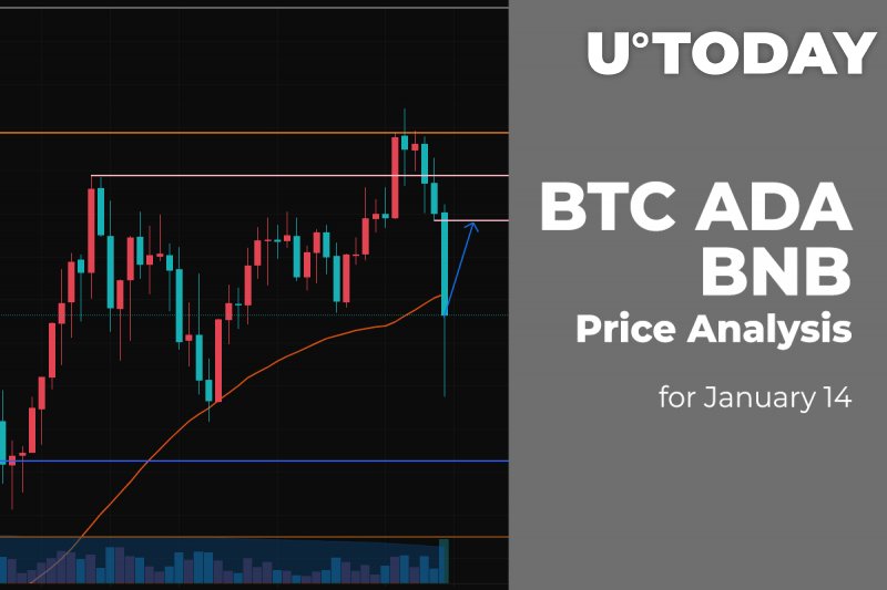 BTC, ADA and BNB Price Analysis for January 14