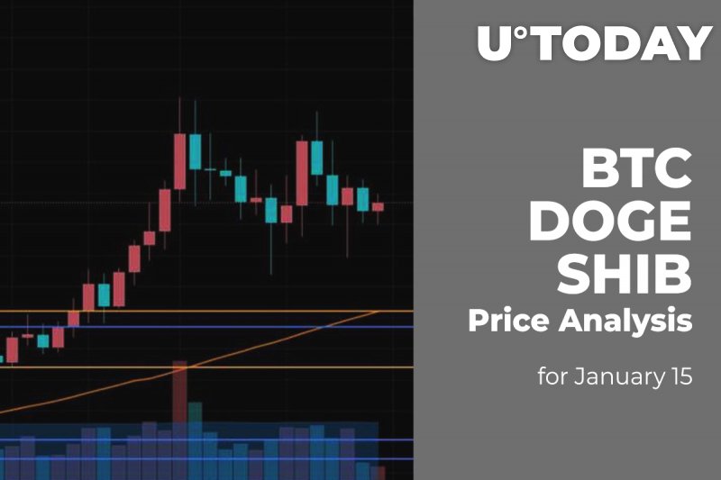 BTC, DOGE and SHIB Price Analysis for Jan 15
