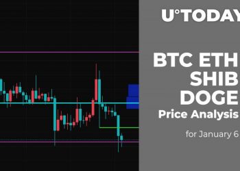 BTC, ETH, SHIB and DOGE Price Analysis for January 6