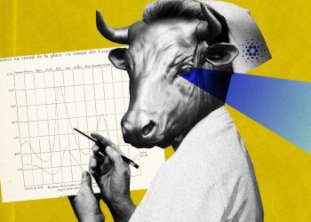 Cardano Enters Basho Phase – What Should We Expect from a Network Upgrade?