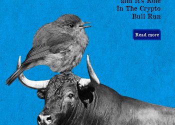 Crypto Twitter and its role in Crypto Bull Run