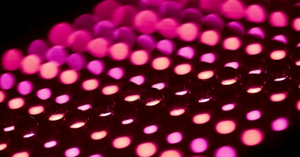 Dot Finance (PINK) announces distribution on Kusama and Polkadot