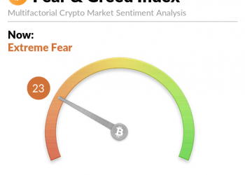 Cryptocurrency Fear and Greed Index