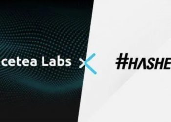 Hashed and Icetea Labs announce teammate