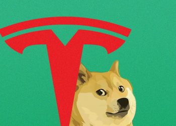 It seems that Tesla is testing a payment perform with Dogecoin (DOGE) 9 It appears that Tesla is testing a payment function with Dogecoin (DOGE)