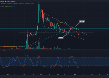 Planning to buy dips?  Check out these key SHIB prices 9
