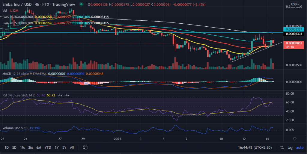 Shiba Inu (SHIB) Price Is On The Way To Break January Highs, Break Above $0.000033 Is On The 5th Card