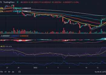 Shiba Inu (SHIB) Price Is On The Way To Break January Highs, Break Above $0.000033 Is On The 5th Card