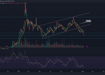 Top Bitcoin Holders Stock Price Drops Over 15%, Buying Opportunity?  13