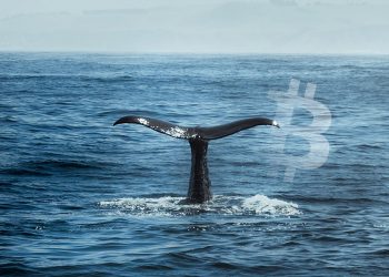 Bitfinex Hacker moves $ 2.5 billion worth of Bitcoin on New Year's Day