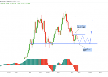 Market analysis: Bitcoin and some outstanding altcoins (February 20 - February 27)