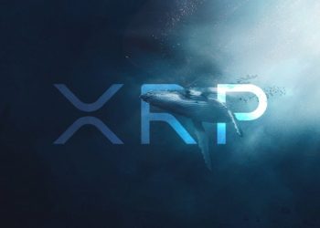 The second biggest wave of XRP buildup suddenly returns in 5 years: what motivated the whales to take action?