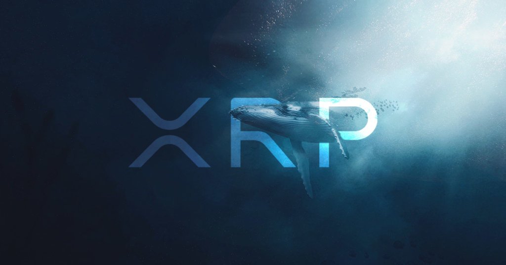 The second biggest wave of XRP buildup suddenly returns in 5 years: what motivated the whales to take action?