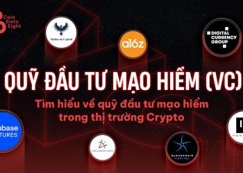 What is a venture capital (VC) fund?