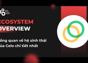 What is the Celo ecosystem?