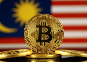 Malaysia's deputy minister suggested the country should adopt Bitcoin as its fiat currency
