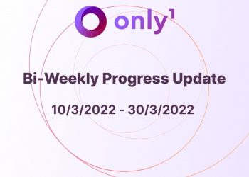 Solo1 (LIKE) information on the progress of the project
