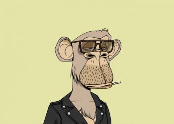 Someone "accidentally" sold NFTs at a price like "for free"