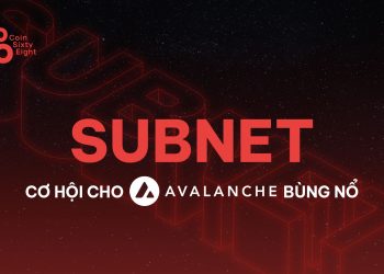 Subnet - Opportunities for the Avalanche Explosion in 2022?