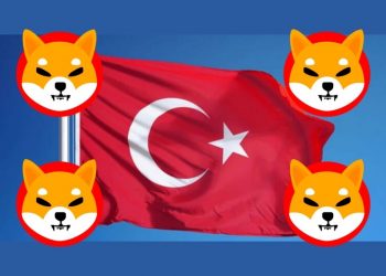 The Turkish Economy Minister discusses the application of SHIB with the Shiba Inu development team