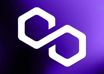 Polygonal network "to freeze" What happened in 9 hours?