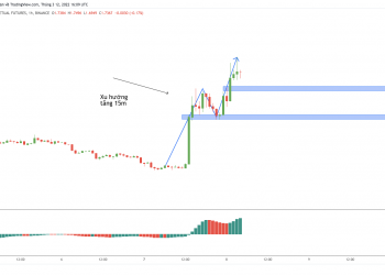 Trading Class 101: Price Action Trading (Part 6) - How to place basic orders with Price Action