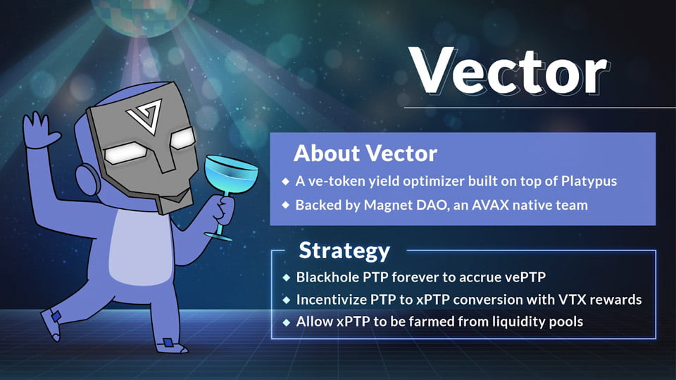 What is the vector finance project?