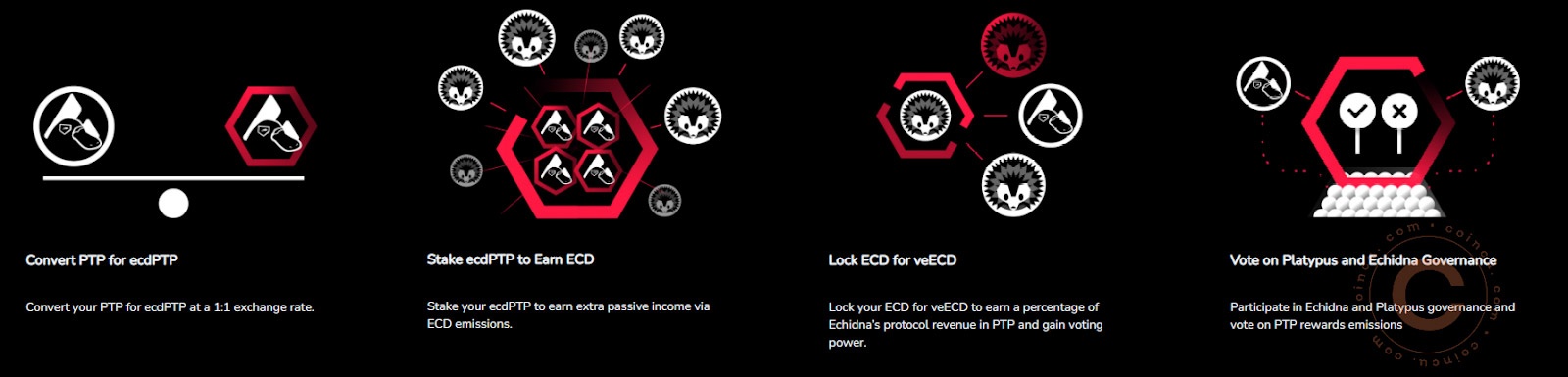 Echidna for PTP producers