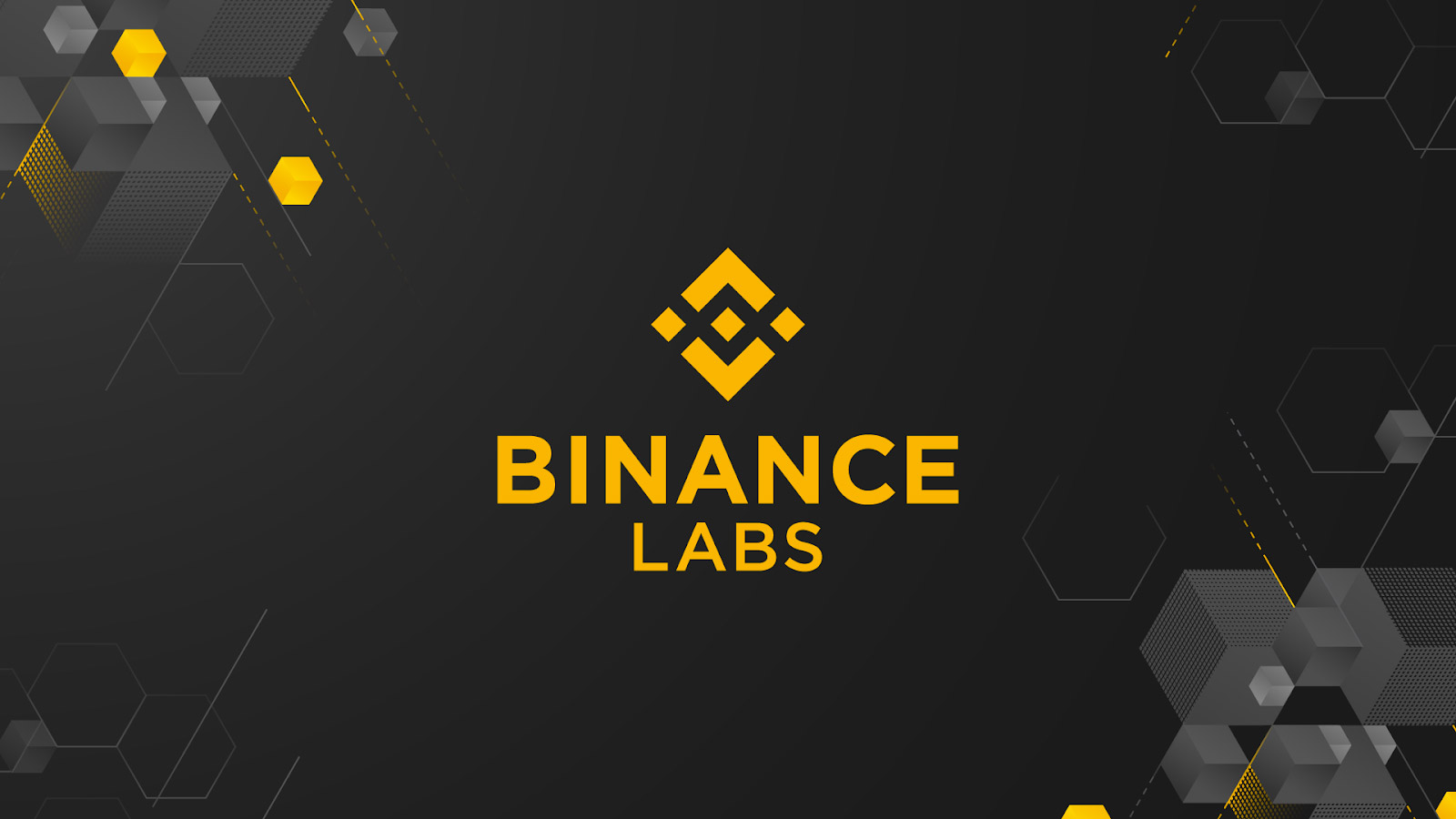 What is Binance Labs?