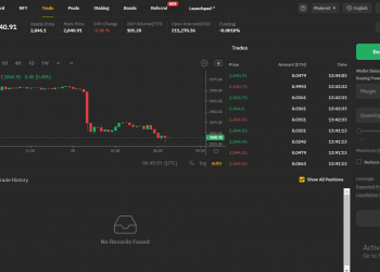 What is the ApeX Protocol project?