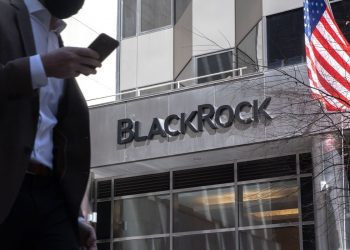 BlackRock confirms that it is working on cryptocurrencies and stablecoins