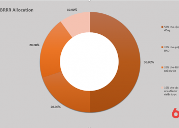 BRRR Token Allocation