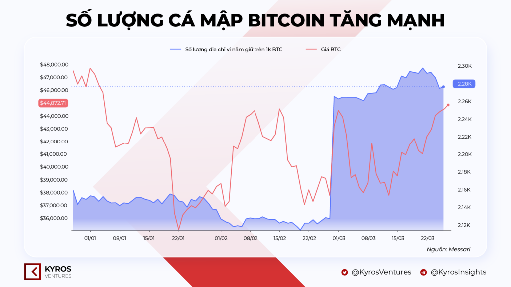 Crypto Market Report Q1 2022 Summary: Are You Ready for the Next Bounce?