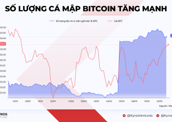 Crypto Market Report Q1 2022 Summary: Are You Ready for the Next Bounce?
