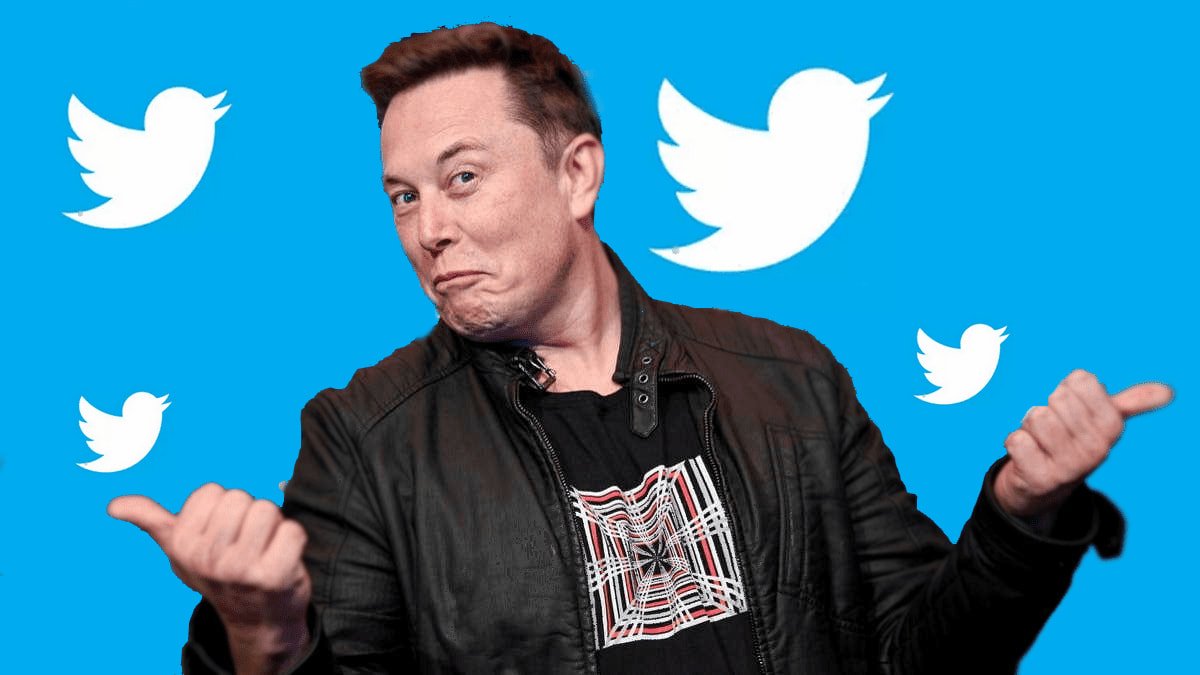 The Twitter takeover attempt of Elon Musk comes to the fore "dissect" of the blockchain billionaire club