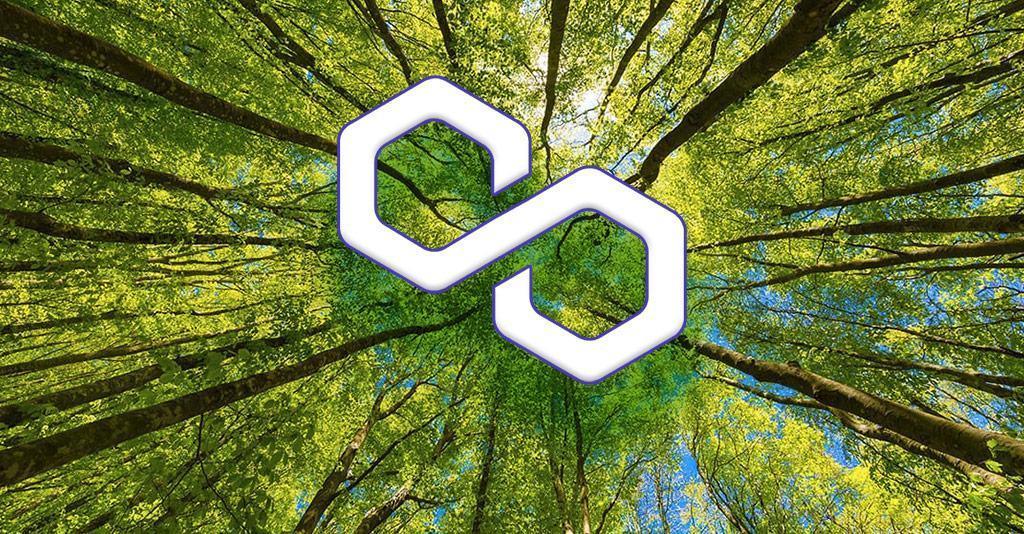 Polygon (MATIC) is committed to becoming carbon neutral in 2022