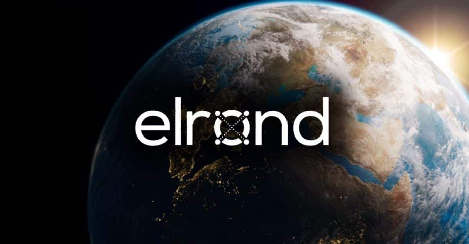 Skynet EGLD Capital raises $ 40 million to expand investments in the Elrond ecosystem