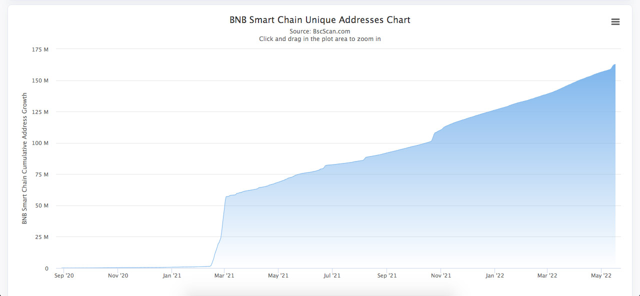 How to check the number of unique addresses on the BSC network