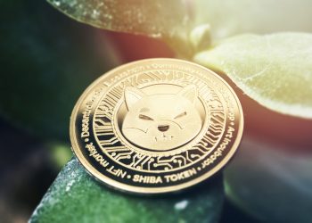 One year after the date "no sound"the founder of the Shiba Inu project suddenly deleted all information