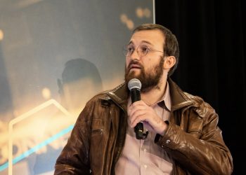Cardano founder confirms that the market has fallen into a cycle "hibernation" long term