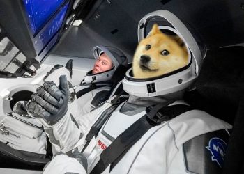 Elon Musk reveals SpaceX will be accepting Dogecoin (DOGE) payments soon.