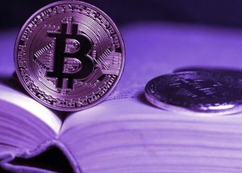 "Pocket" some common slang words used by the cryptocurrency community