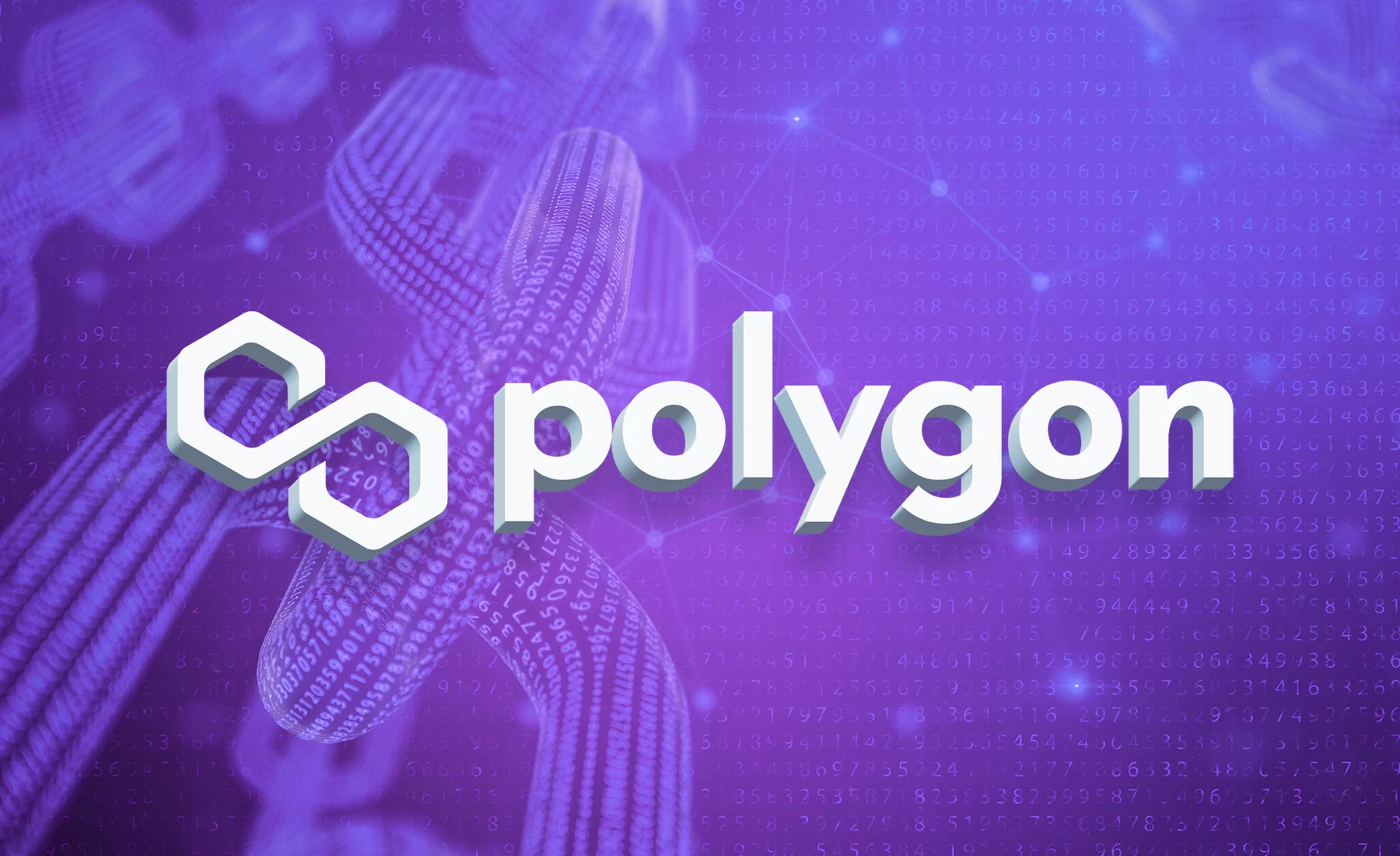 Polygon burned more than 1.6 million MATICs in just four months of implementing EIP-1559